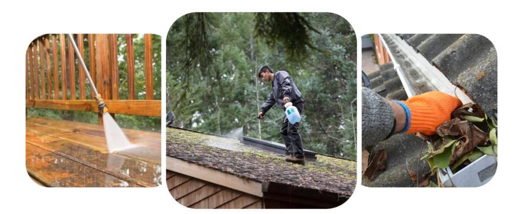 Lane Roof and Gutter Cleaning