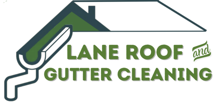 Lane Roof and Gutter Cleaning Services